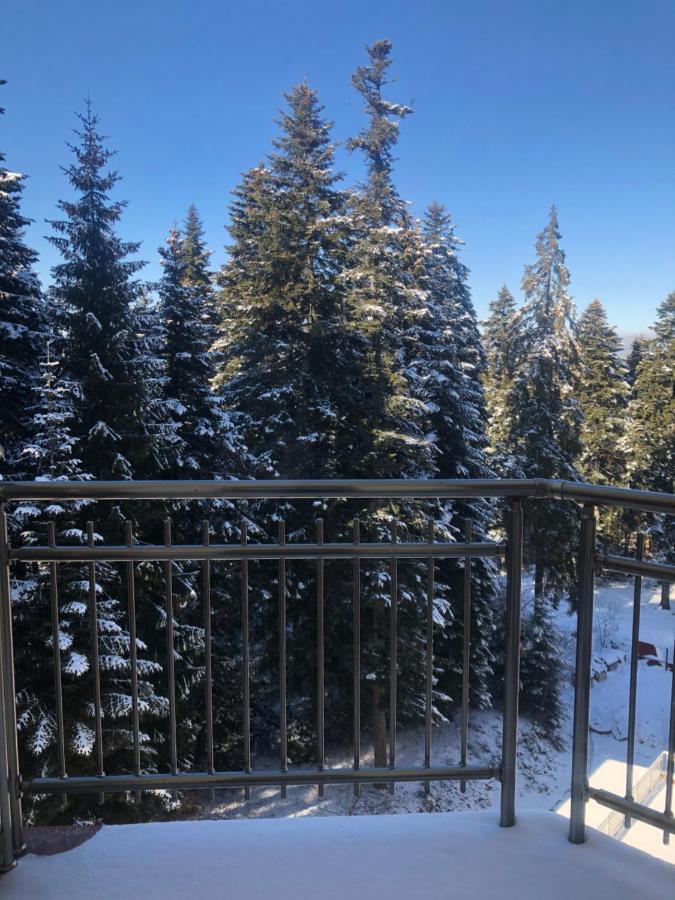 Flora Apartment 612A Borovets Buitenkant foto
